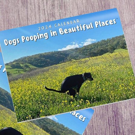 2024 Hundelort Kalender Hundelort Kalender