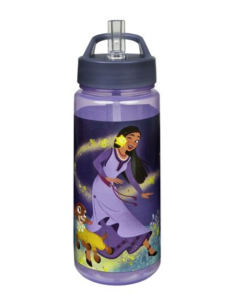 Princesses Disney Wish Aero Drinking Bottle - Purple - ONE SIZE