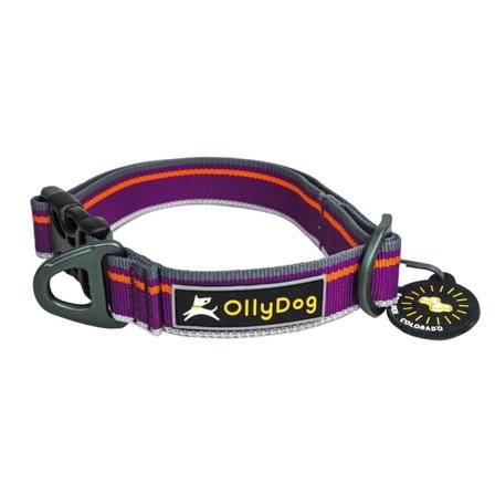 OllyDog Urban Trail Reflective Collar Dog Harnesses & Dog Collars Purple L