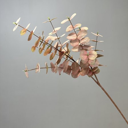 Dyse til I Braava Jet M6 240 241 244 Støvsuger Erstatningsdyser Ribn