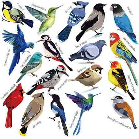 Pienet linnut seinätarra värikkäät lentävät linnut seinätarrat irrotettavat puutarhakoristeet juliste makuuhuone keittiö olohuone (pieni)