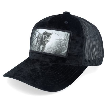 Calza Pennello - Svart trucker Keps - Black Panther Big Patch Velvet Black Trucker @ Hatstore