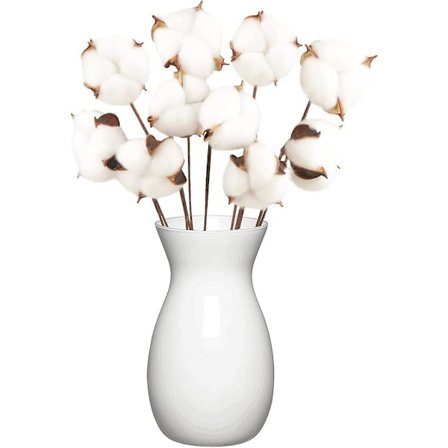 10 Pak Naturlige Bomuldsblomster Tørrede Blomster Bomuldsstængler Naturlig Blomst Kunstig Bomuldsgrene Kunstig