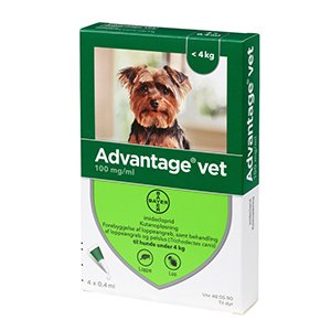 Advantage, hund 0-4 kg