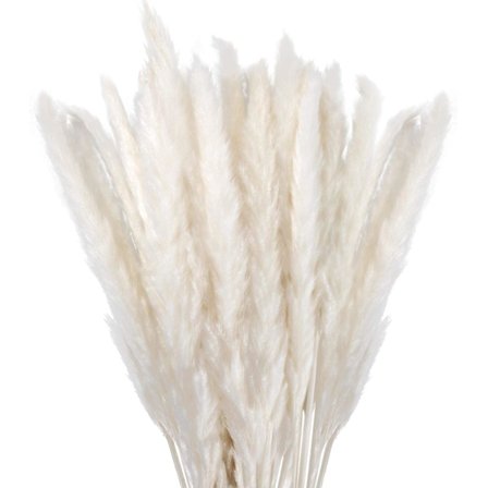 Tørket Pampasgress Dekorasjon Sett med 30, Pampas Blomst for Deko Stue, Soverom, Interiør, Hus, Kjøkken, Hjem, Balkong (Vase Ikke Inkludert)