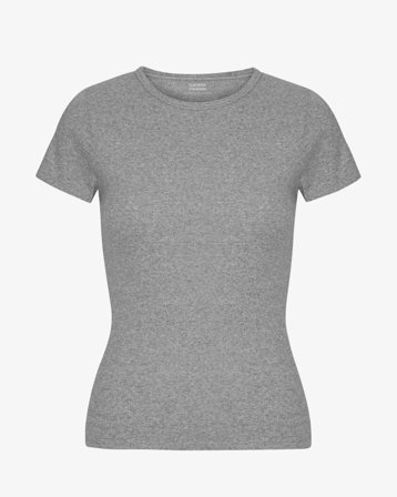 Organic Rib T-Shirt - Heather Grey XS