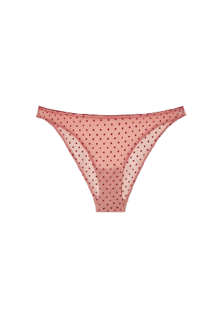 Understatement Mesh Bikini Briefs Trosor Dam Rosa L