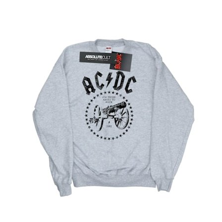 AC/DC Herr We Salute You Cannon Sweatshirt 3XL Sports Grey