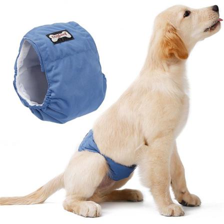 Anti-trakassering Dog Physiological Pants L