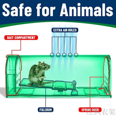 Elävänä pyytävä hiirenloukku puhdistusharjalla - Turvallinen ja uudelleenkäytettävä S