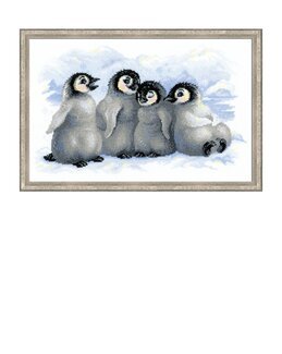 Bild Pinguine - Riolis