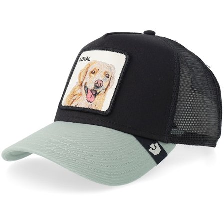 Goorin - Preto trucker Boné - The Loyal Dog Void A-Frame Trucker @ Hatstore