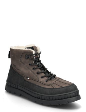 545050 Brown Bugatti