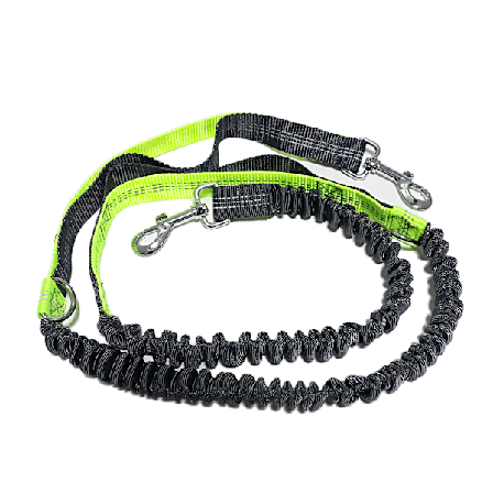 Koiran hihna juoksemista varten