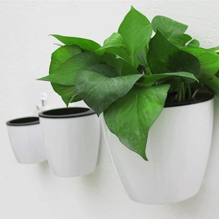 Modern design väggmonterad blomkruka rund form harts hydroponics klorofyll krukväxt kruka rea