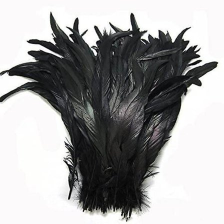 Natur Hane Halefjer Kostume Håndværk Dekoration 30-35 cm Pakke med 25 (sort)