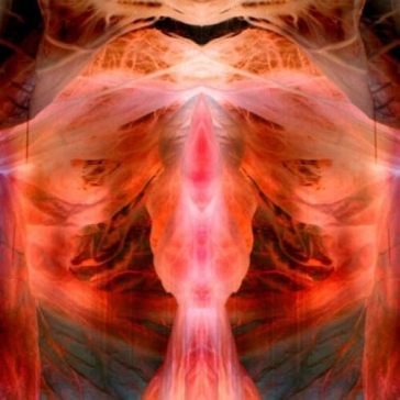 The annihilating angel PAUL SCHUTZE