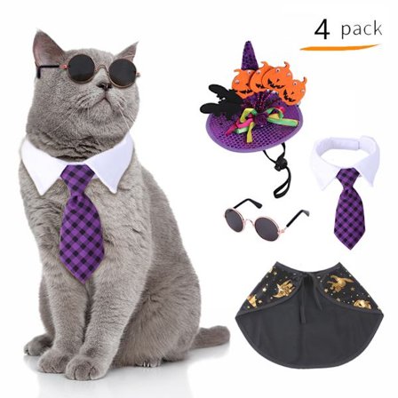 Pet Hund Katt Halloween Kostym Set Justerbar Halloween Wizard Pumpa Hatt Cool Dog Cape Hund Slips Hund Bandana Halsband Liten Hund Solglasögon Som 