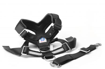 MiM AllSafe Svensk Krocktestad Bilsele - Hurtta, Julius-k9, Fuzzyard, Flexi, Ruffwear, Petstudio, Casual Canine, Dog is Good mm. på Doggie.se