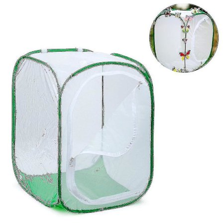 Høy stor sommerfuglhabitatbur sammenleggbar terrarium Pop-