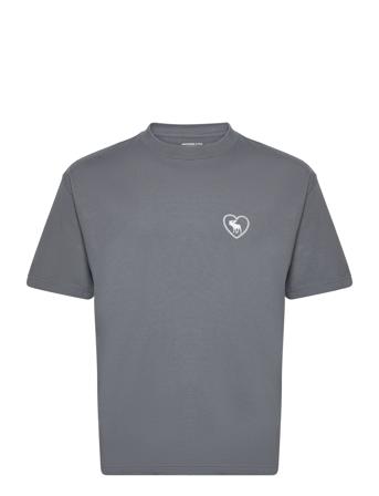 Anf Mens Knits T-shirts Short-sleeved Grå Abercrombie & Fitch*Betinget Tilbud