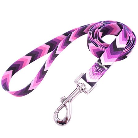 2023 Cute Puppy Leash, Colorful Pattern Pet Leash For Walking Training