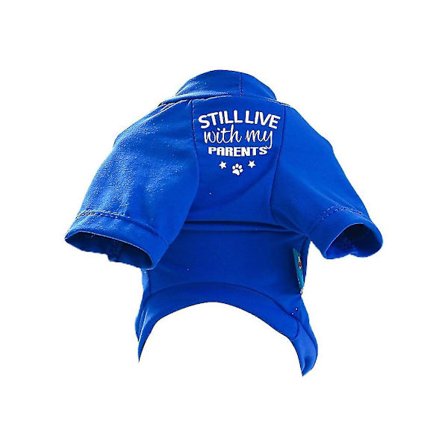 Enfärgad hundtröja för medelstora till stora hundar för våren