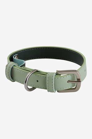 Jotex - Hundehalsbånd/kattehalsbånd Grønn/mint - INU - Kjøp Kjæledyrutstyr hos Jotex