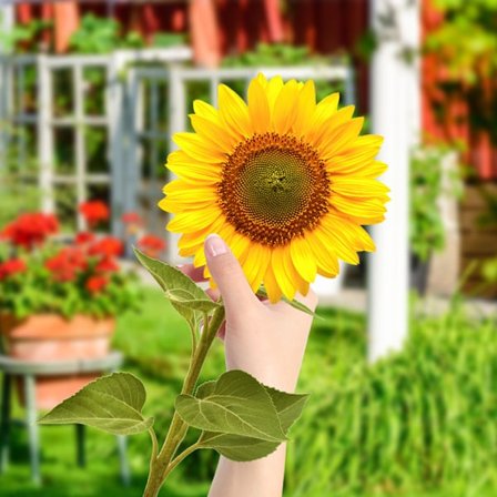 Solsikke dekorativ akryl hagepynt