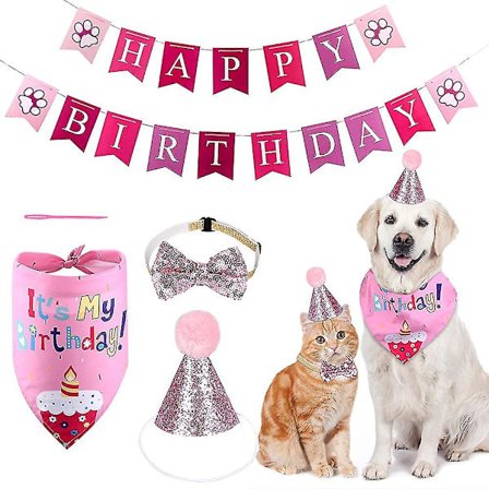4 Delar Hund Födelsedagsfest Hatt Halsduk Hund Födelsedagsbanderoll Dekoration Grattis