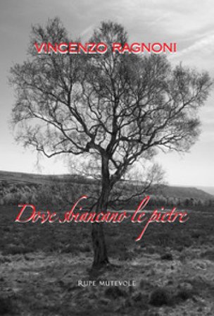 Dove sbiancano le pietre. Nuova ediz. Vincenzo Ragnoni