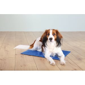 Kølemåtte til hunde