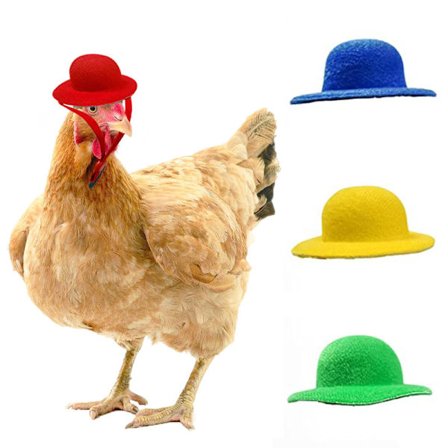 4 stk. Motekyllinghatter for høner - Små kjæledyr Morsomme kyllingtilbehør Justerbar elastisk stropp Fjærhatt for hane And Papegøye Fjærkre Stilig 