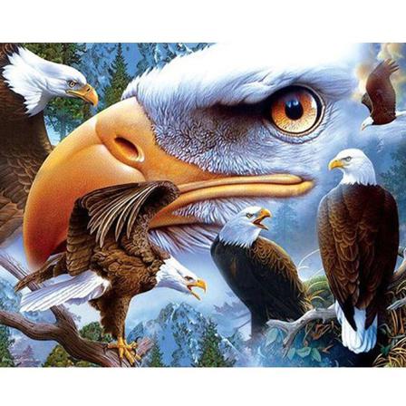 Full 5d Diy Diamond Painting Cross Stitch Hawks Broderi Mosaic R Som På Bilden 1 50x70cm