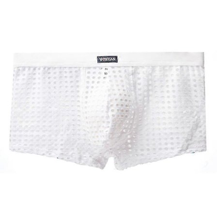 Herr Fisknätsunderkläder Genomskinliga Boxertrosor Mesh Ihåliga Underkläder Lounge Trunkar Shorts-Yvan