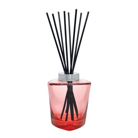Maison Berger Paris Bouquet Parfumé Bouquet Terra Rouge (Senza Profumo) - Diffusore di Profumo
