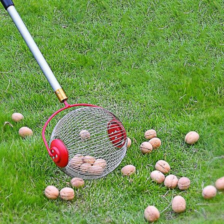 Have Rullende Frugtplukker Let at Bruge Let at Installere til Kastanjefrugt