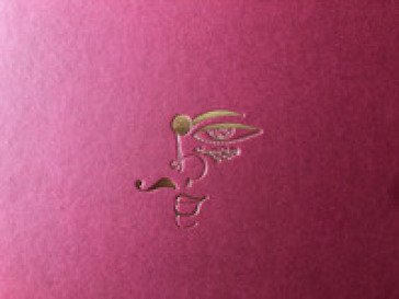 The shape of self. Trans identity in West Bengal. Ediz. italiana e inglese Alessio Maximilian Schroder