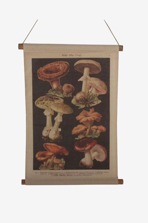 NORDFORM - Vägghängning Svamp - Natur - Posters & tavlor - Från Homeroom