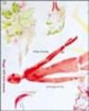 Mappe del cielo tatuato Roberto Barni