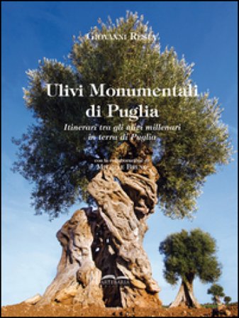 Ulivi monumentali di Puglia. Itinerari tra gli ulivi millenari in terra di Puglia. Ediz. a colori Giovanni Resta