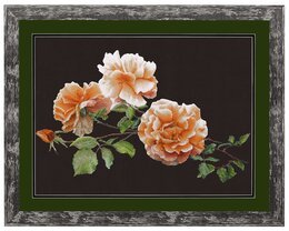 Bild Wunderschöne Rosen