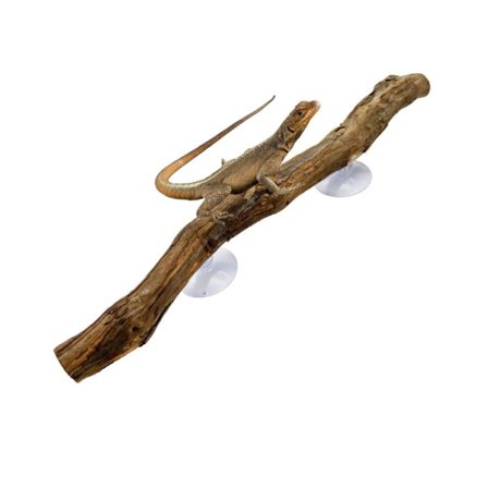 Reptildekorasjon Drue Tre Stativ Leker Slitesterk