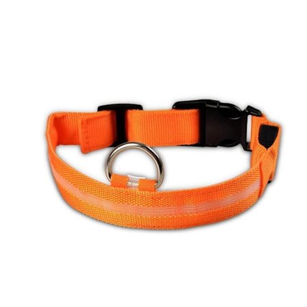 LED-halsband, reflekterande i nylon|orange