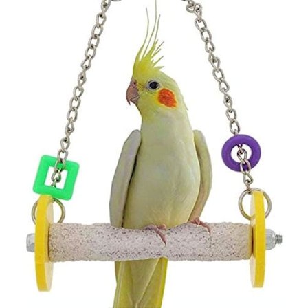 Håll klor och näbbar i toppskick - Handgjorda husdjursprodukter - Säkra och giftfria burtillbehör i slumpmässiga färger