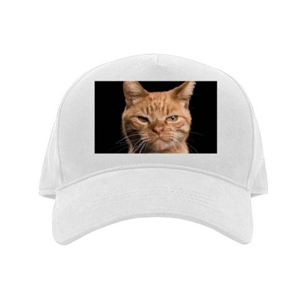 Kaps Nærbilde av oransje katt mot svart bakgrunn, uttrykksfullt blikk og høy kontrast for en minimalistisk, men kraftig visuell effekt