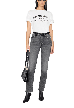 Anine Bing Cohen Tee Paris Stencil T-shirts Dam Vit S