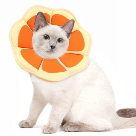 Beskyttelseskrave til katte og hunde, Beskyttelseskrave med velcro, justerbar halskrave til katte