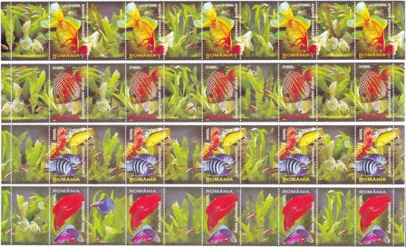 Rumænien 2005 - MICHEL 5912/5917 - Postfrisk