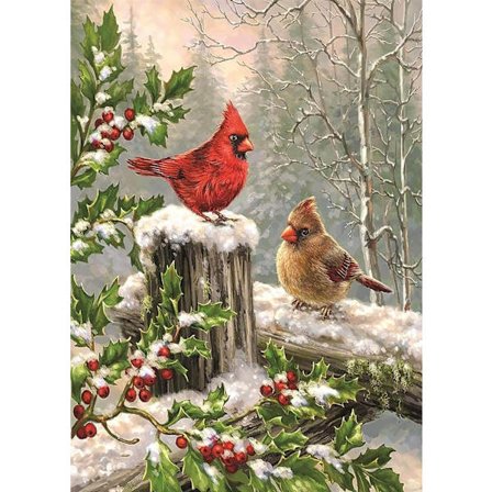 Juldiamantmålningssats, fågeldiamantkonstsats, 5D full Di